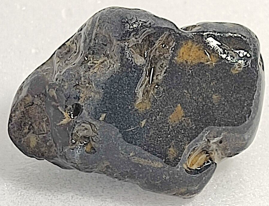 Midnight Blue with Peach Sea Fossil Agate Specimen Dinosaur Poop See Video