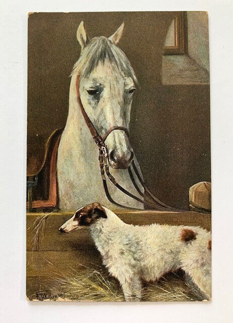 Vintage POSTCARD Horse Hound, No stamp, Divided, Wrench Series No 5334