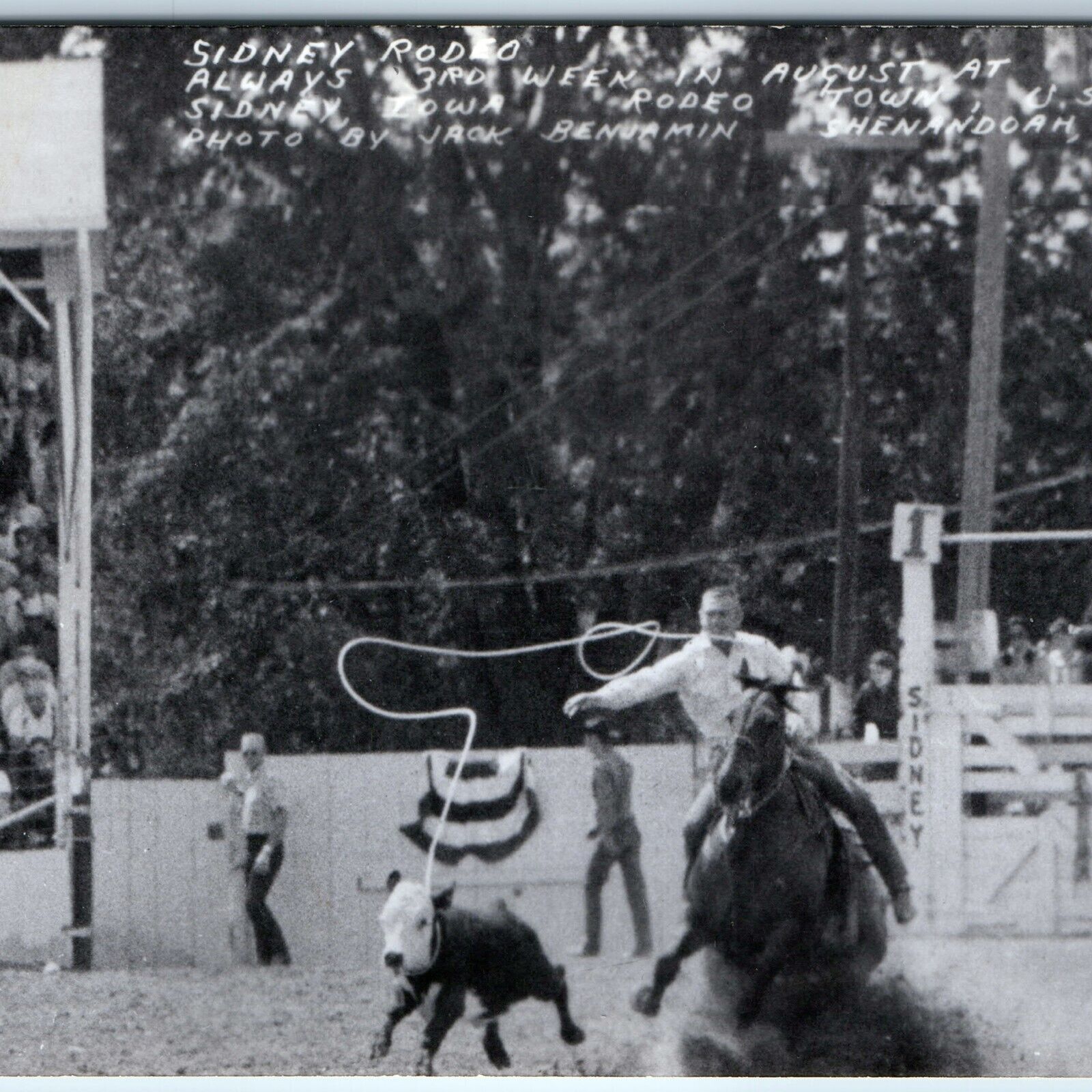 c1950s Sidney, IA RPPC Rodeo Town Cowboy Lasso Calf Real Photo Shenandoah A245