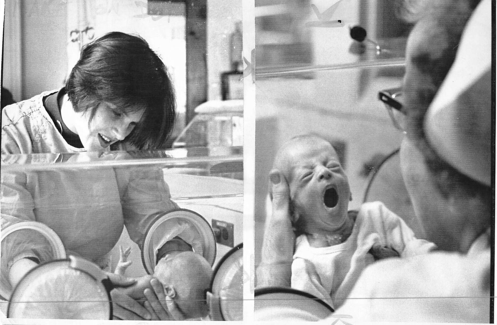 1970 Press Photo Kienast quintuplets 1 month old newborn infant in incubator kg