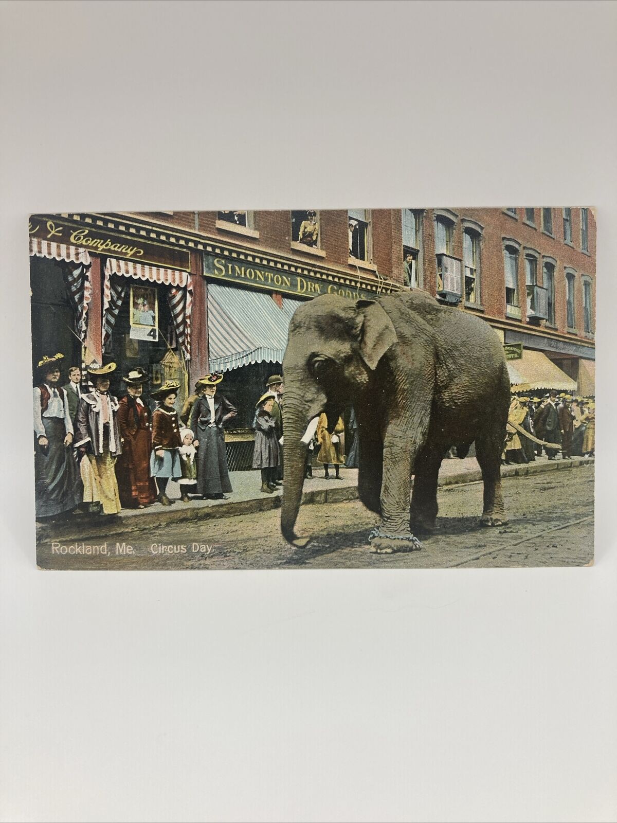 Postcard Rockland Maine Circus Day, Elephant 