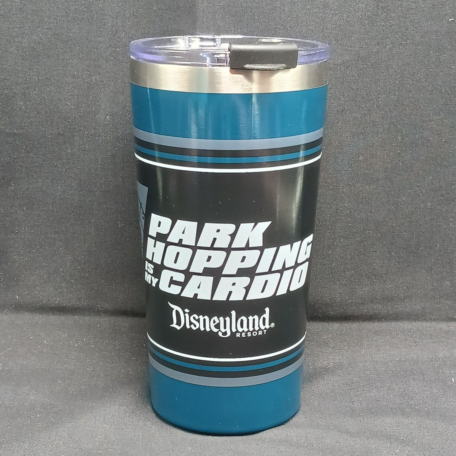 Disneyland Park Hopping Is My Cardio Park Icons 16oz Stainless Steel Tumbler