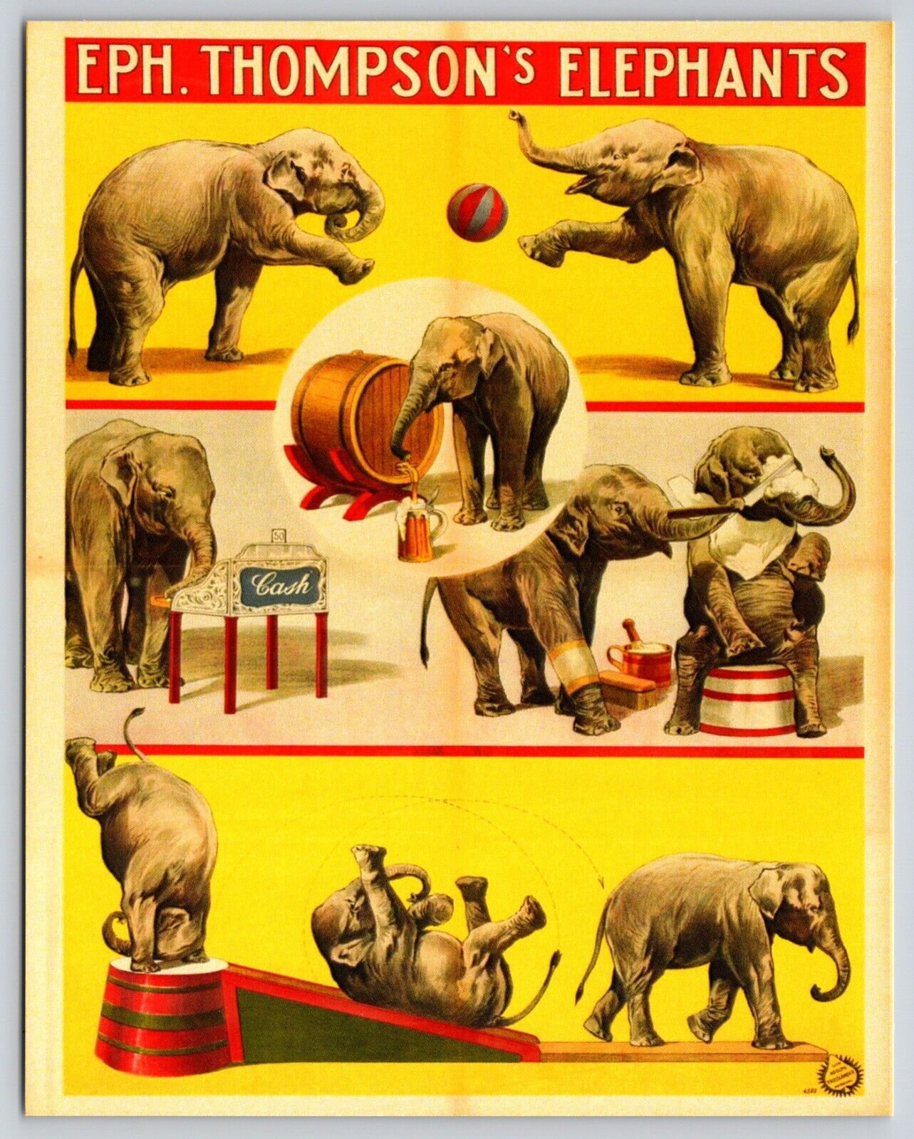 Postcard EPH Thompson\'s Elephants Circus Elephants Circus Tricks