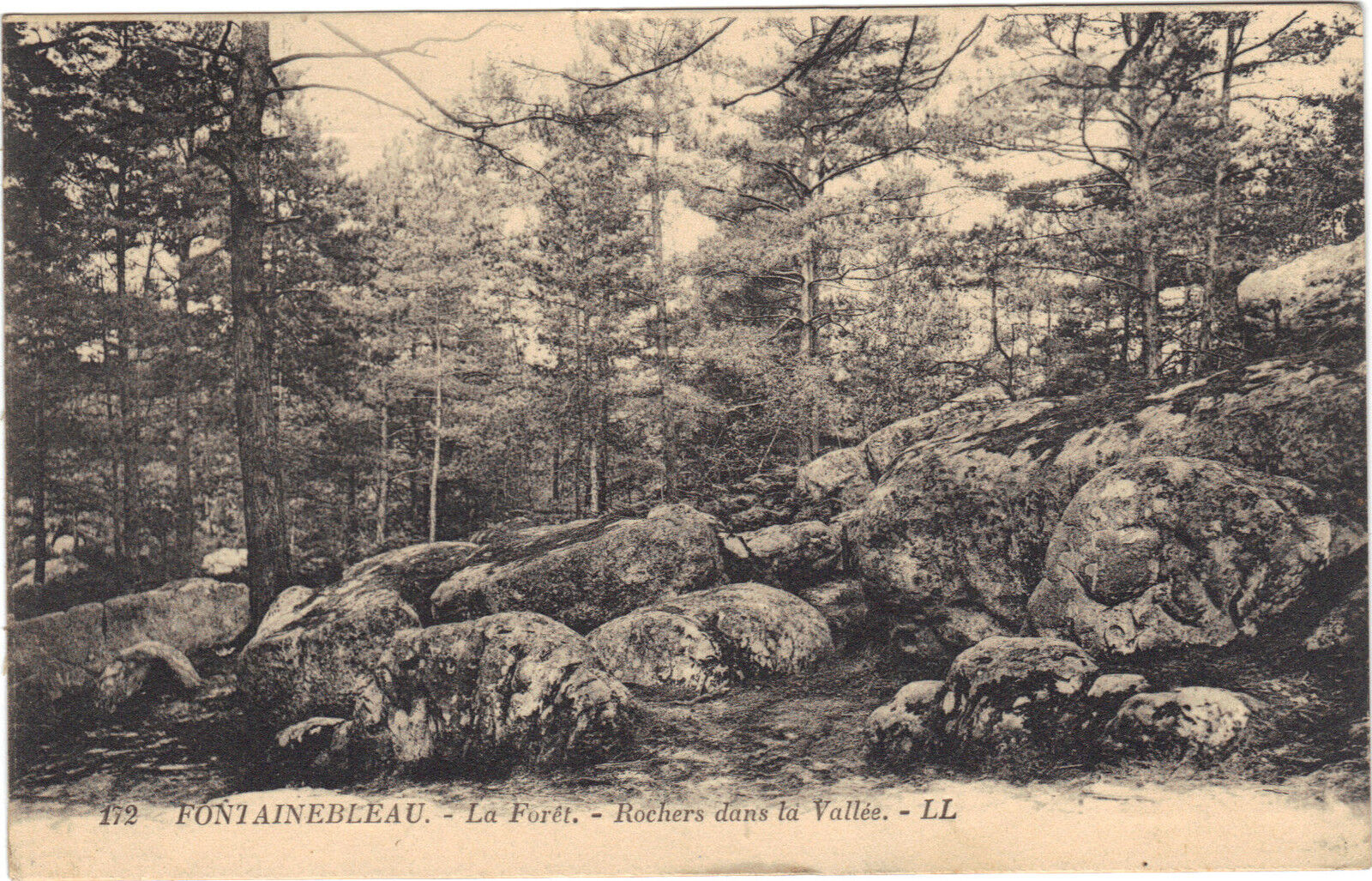 Forest Of Fontainebleau - Rocks IN La Valley (F6968