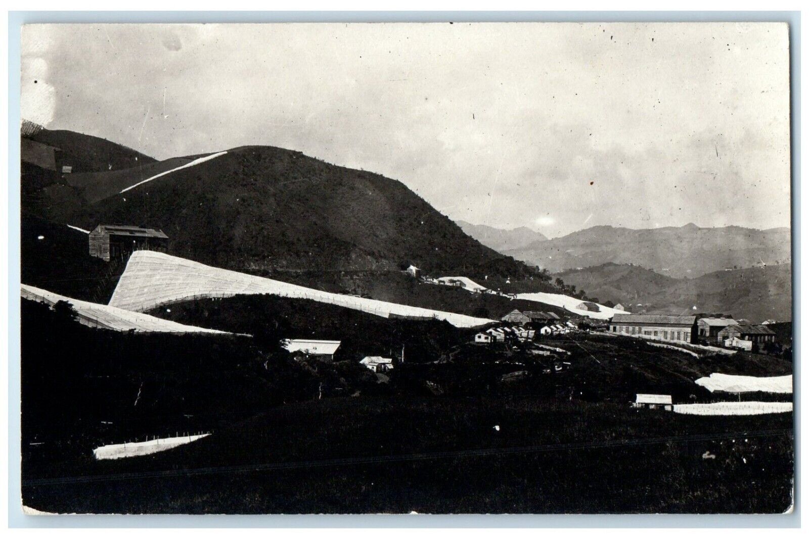 c1910\'s Bird\'s Eye View Of Tobacco Fields  Puerto Rico PR RPPC Photo Postcard