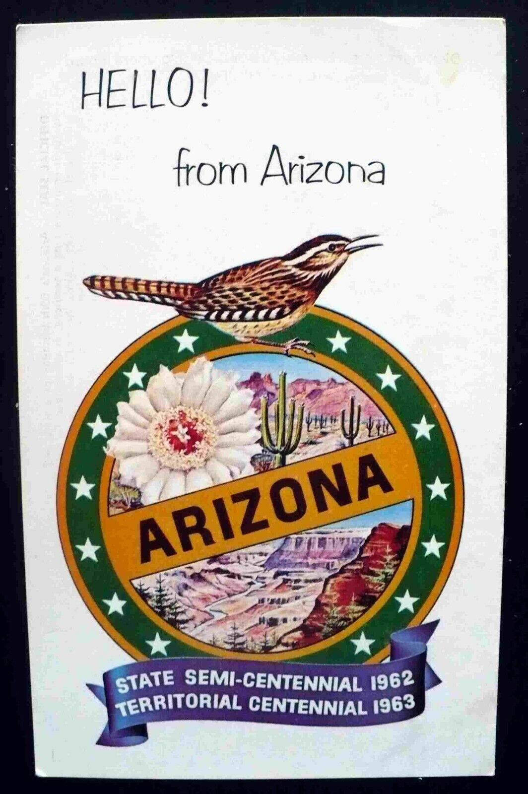 1960s Arizona 50th Birthday as a State Anniversary Iconic Seal