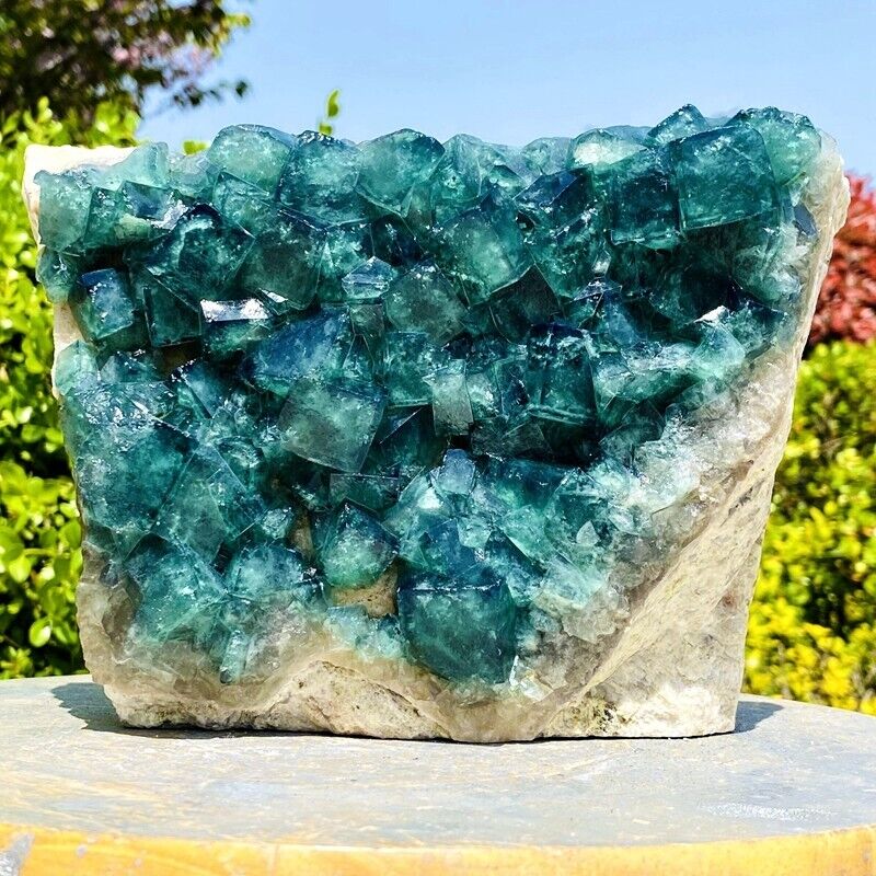 6.72LB Natural green cubic fluorite quartz crystal mineral specimen