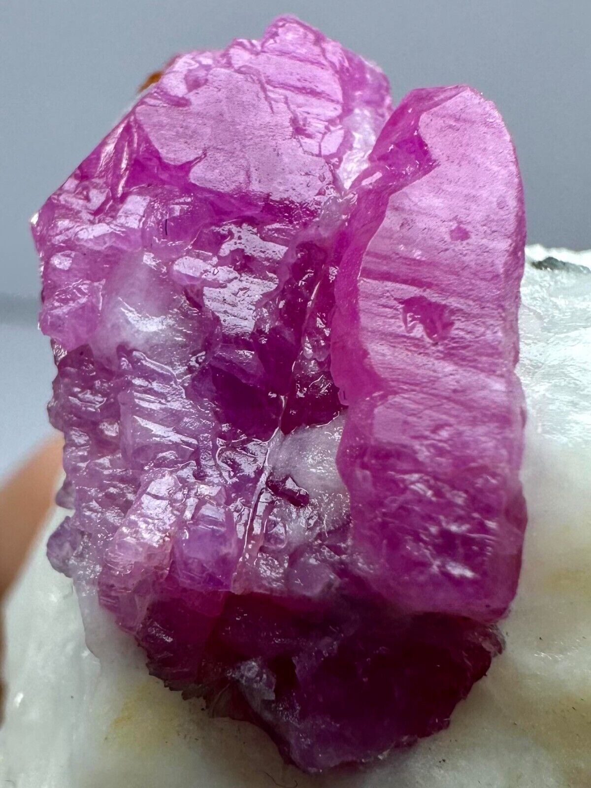 194 CT Well Terminated Top Red Ruby Crystals Cluster On Matrix. AFG