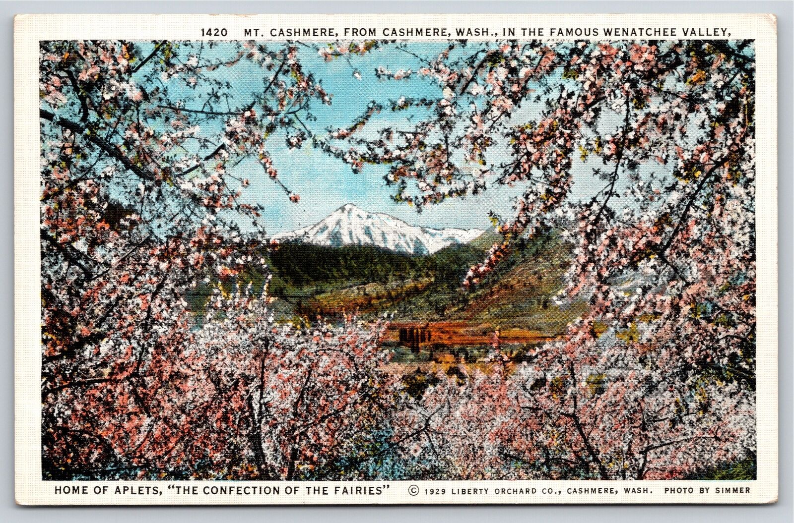 Washington~Distant View Of Mt Cashmere From Wenatchee Valley~Vintage Linen PC
