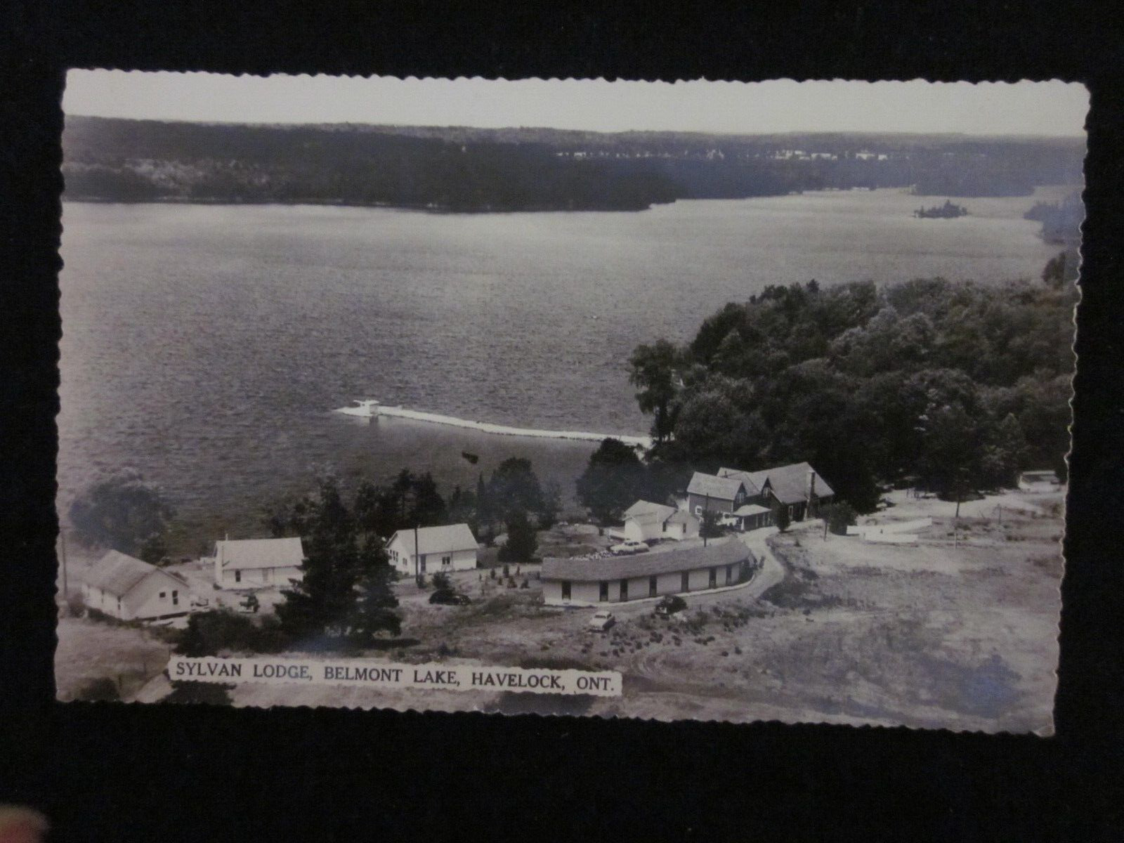 Postcard RPPC Havelock Ontario Canada Sylvan Lodge Belmont Lake photo postcard