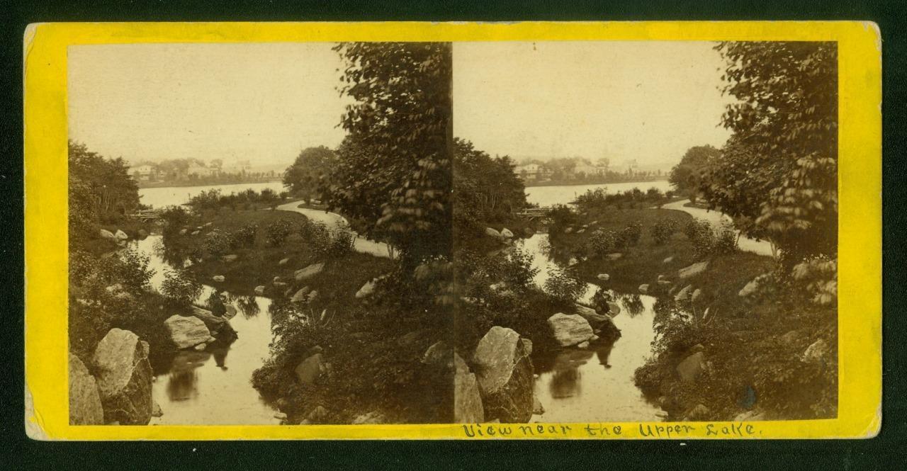 a889, E & H T Anthony Stereoview, #7202, Rustic Bridge Near the Upper Lake 1870s