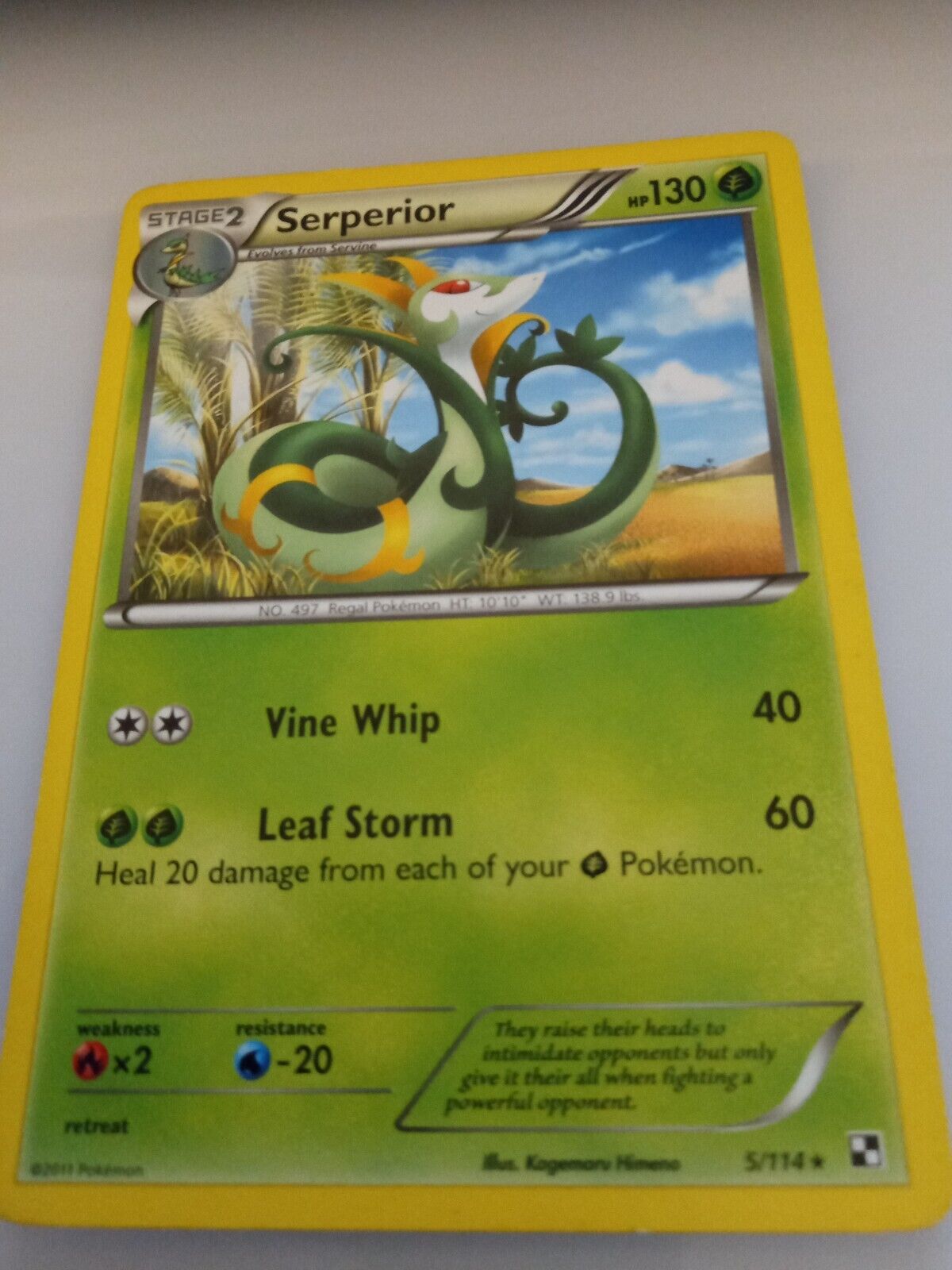 Serperior 5/114 Rare 2011   Pokemon Card 