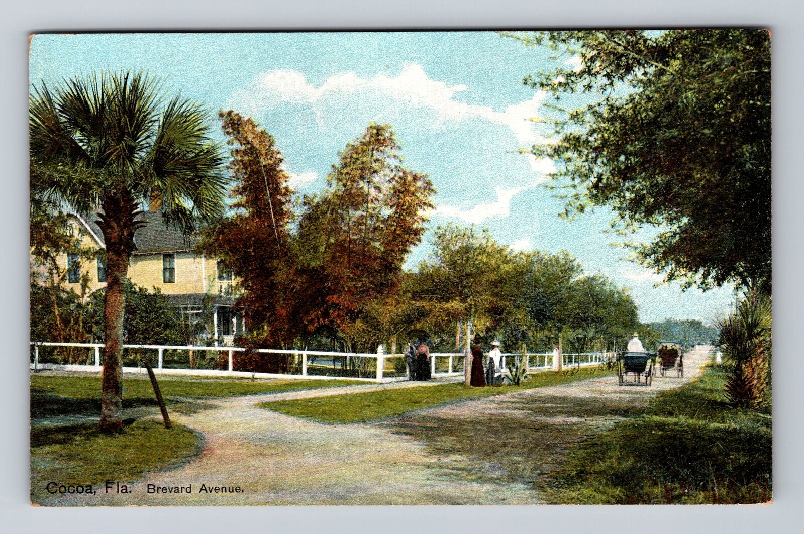 Cocoa FL-Florida, Residential District, Brevard Avenue, Antique Vintage Postcard