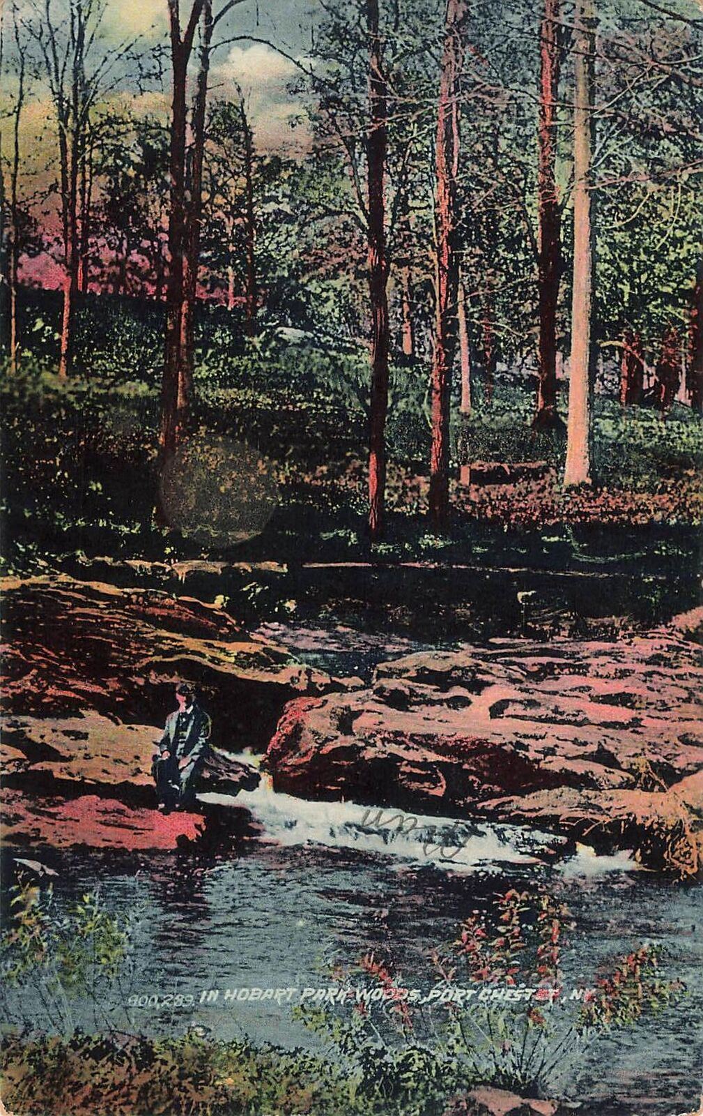 Vintage Postcard 1908 Hobart Park Woods Port Chester NY