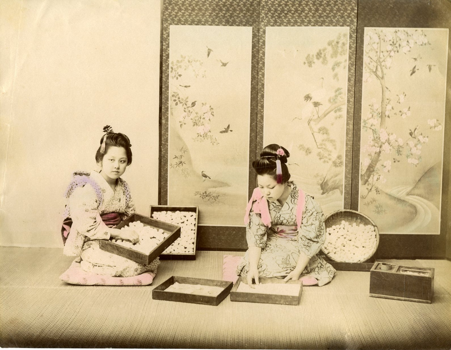 Japan, Girls Gathering Silk Cocoons Costume Vintage Albumen Print.  Alb Print