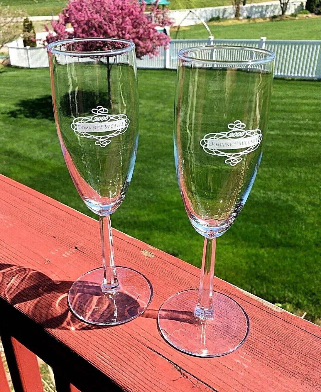 Domaine Ste Michelle Y2K Clear Champagne Flutes, Glasses, Set of 2, 7 3/4\