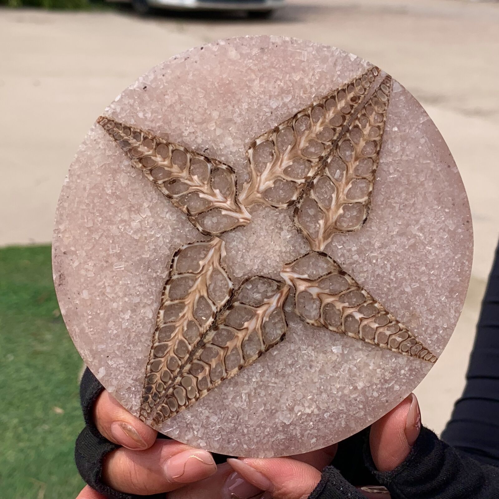 99G Rare Natural Tentacle Ammonite FossilSpecimen Shell Healing Madagascar