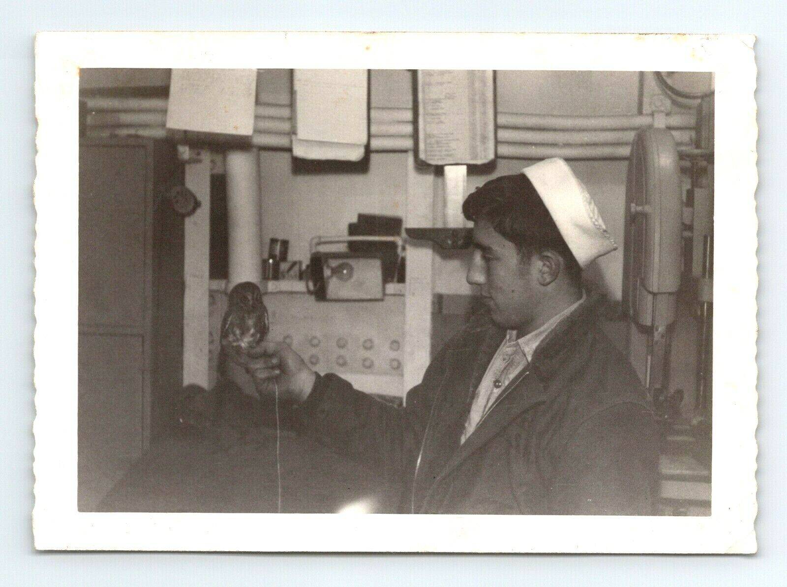 Wd3  Original Photo Korean War 1950\'s Navy Ship holding bird 135a