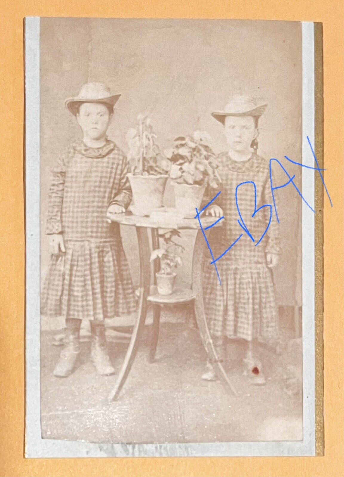 Vintage 1800s CDV Photo 2 Same Dressed Sisters & Flower Pots -SARAN AC, MICHIGAN
