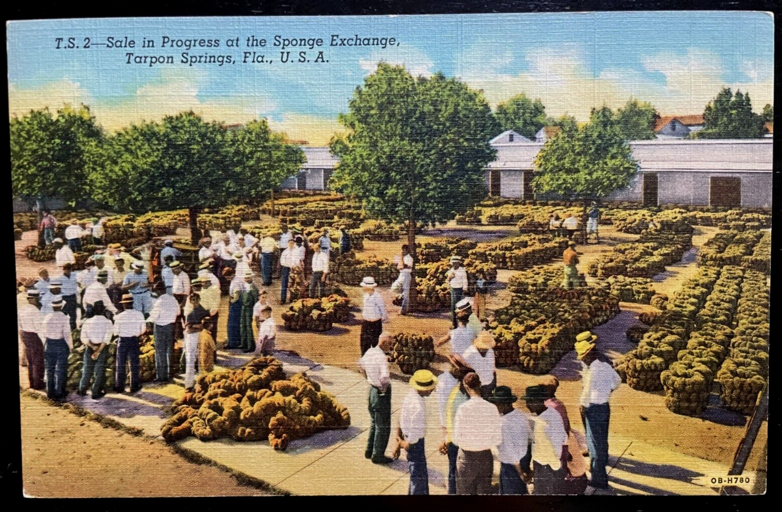 Vintage Postcard 1940 Sponge Exchange, Tarpon Springs, Florida (FLA)