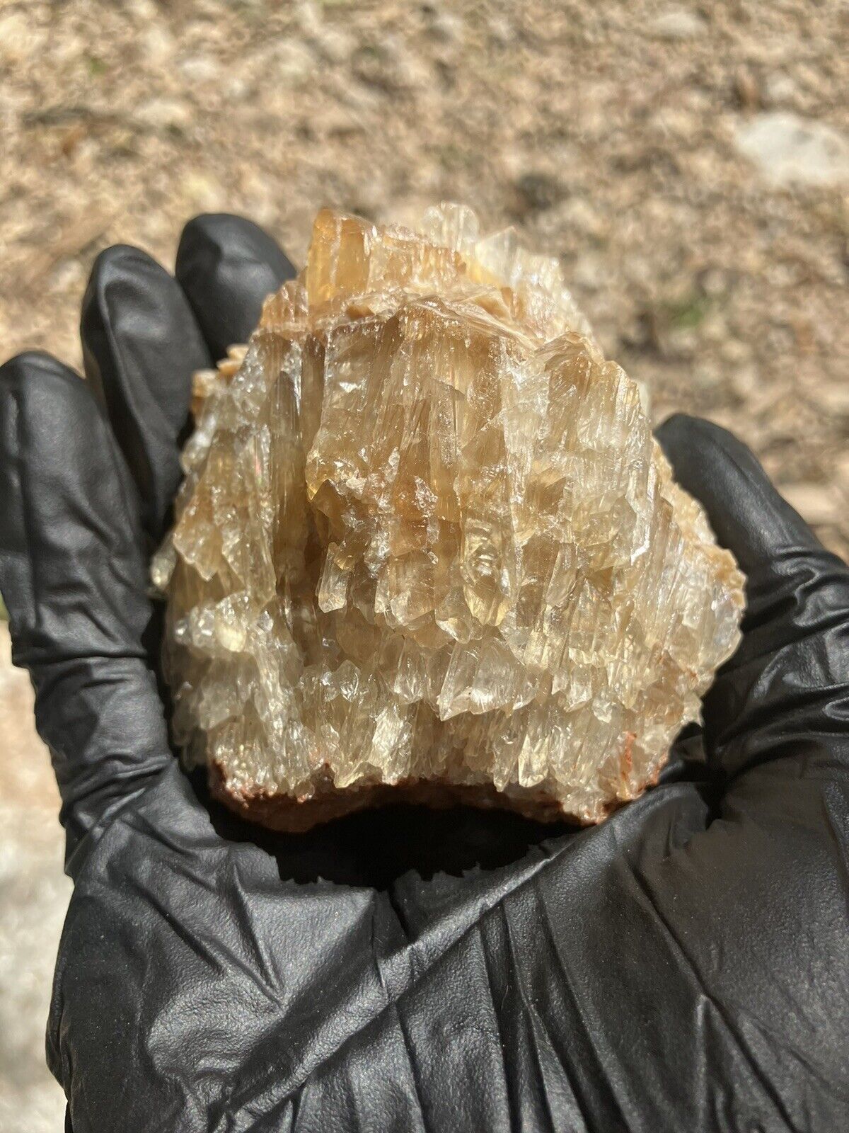 Raw Natural Honey Citrine Quartzite Cluster 8oz