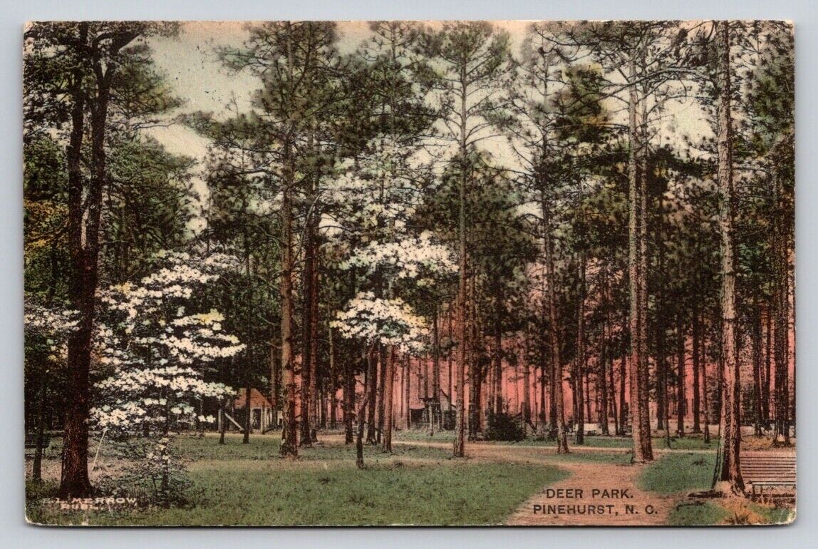 c1910 E L Merrow Deer Park Dogwood Hand Colored  Pinehurst North Carolina P631