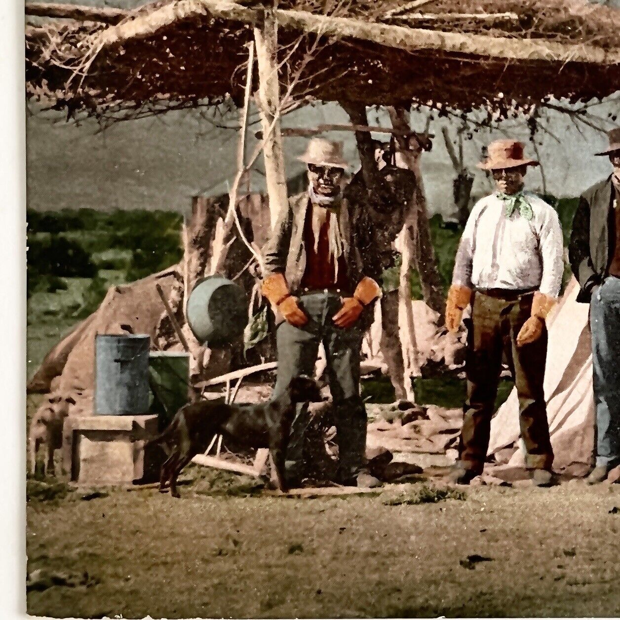 1909 Native American Postcard : PIUTE INDIAN CAMP, NEVADA • Truckee, CA Cancel