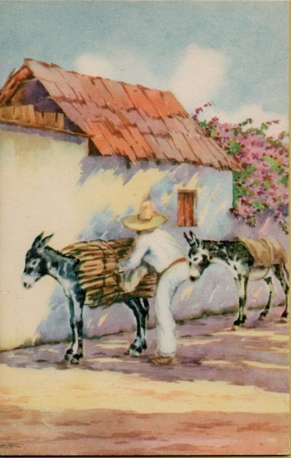 Man with Donkeys Mexican Postcard Tarjeta Postal Motivo Tipico Mexico Sombrero