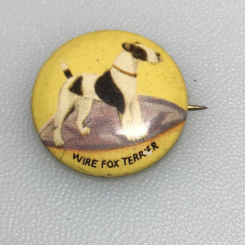 1930’s Wire Fox Terrier Vintage Dog Breed Puppy Animal Button Pin Pinback Badge