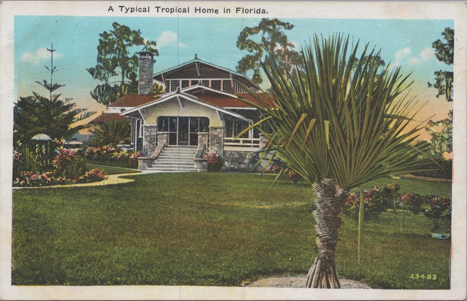 1920s Postcard A Typical Tropical Home in Florida Trees Palms UNP 5846d2