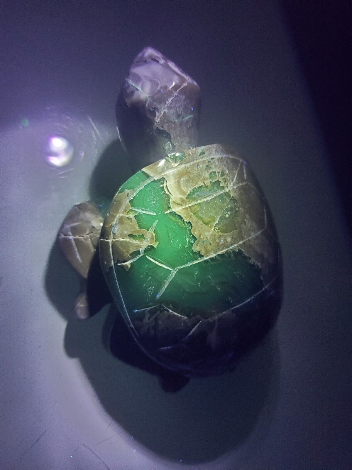 Natural volcano agate turtle carving quartz crystal UV-REACTIVE 