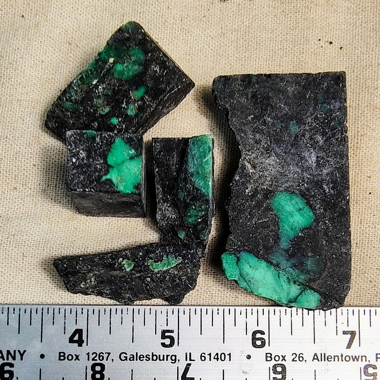 Desert Gem Old Stock Variscite Turquoise Rough Stone Gem 107 Gram Lot 38-07