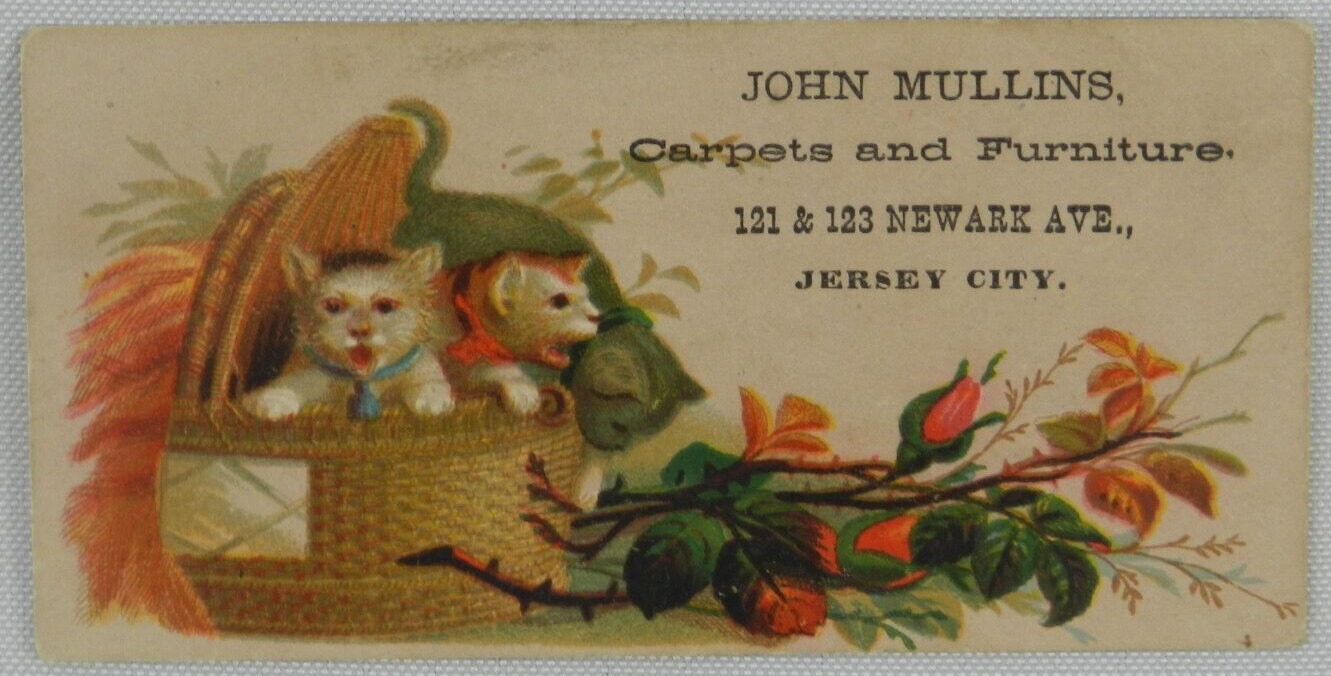 Two Adorable Kittens in Woven Basket Carpet & Furniture Jersey City - Trade Card