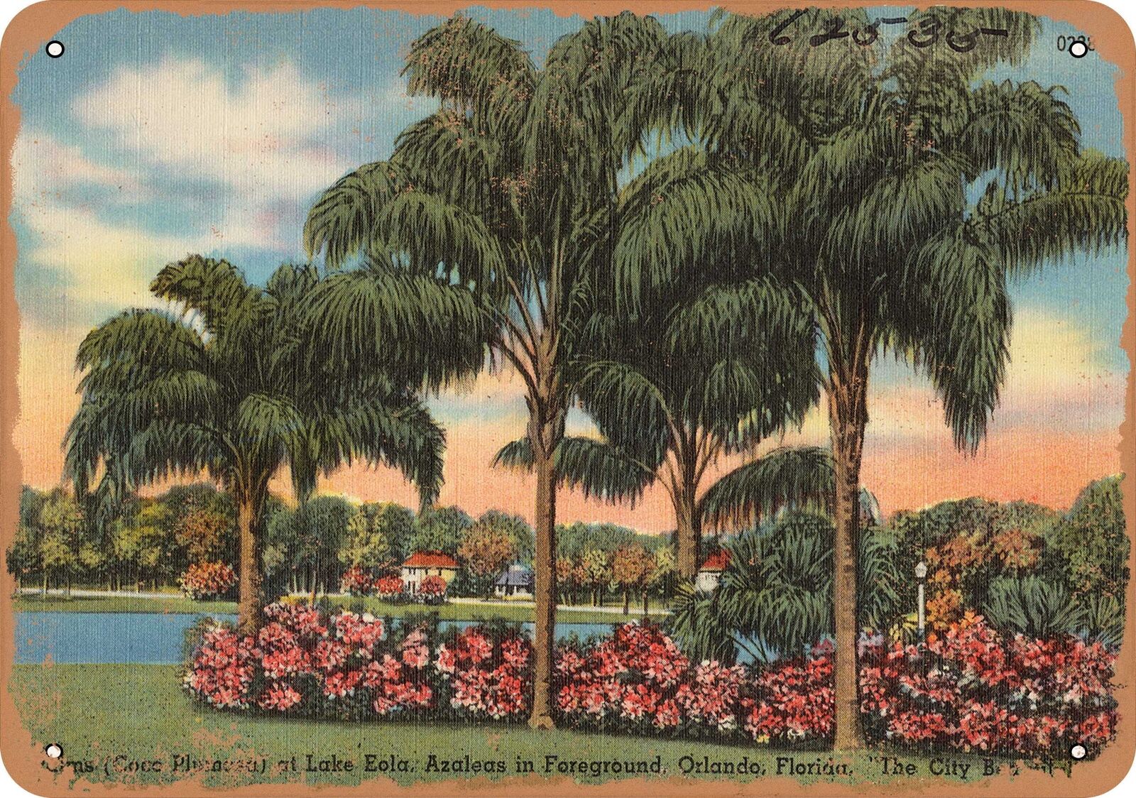 Metal Sign - Florida Postcard - Palms (Coco Plumosa) at Lake Eola, azaleas in f