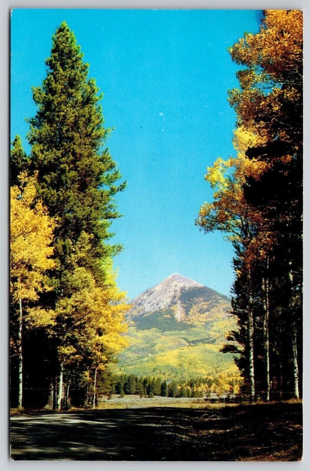 Steamboat Springs Colorado Arizona Bar CO Highway 129 Scenic Chrome Postcard