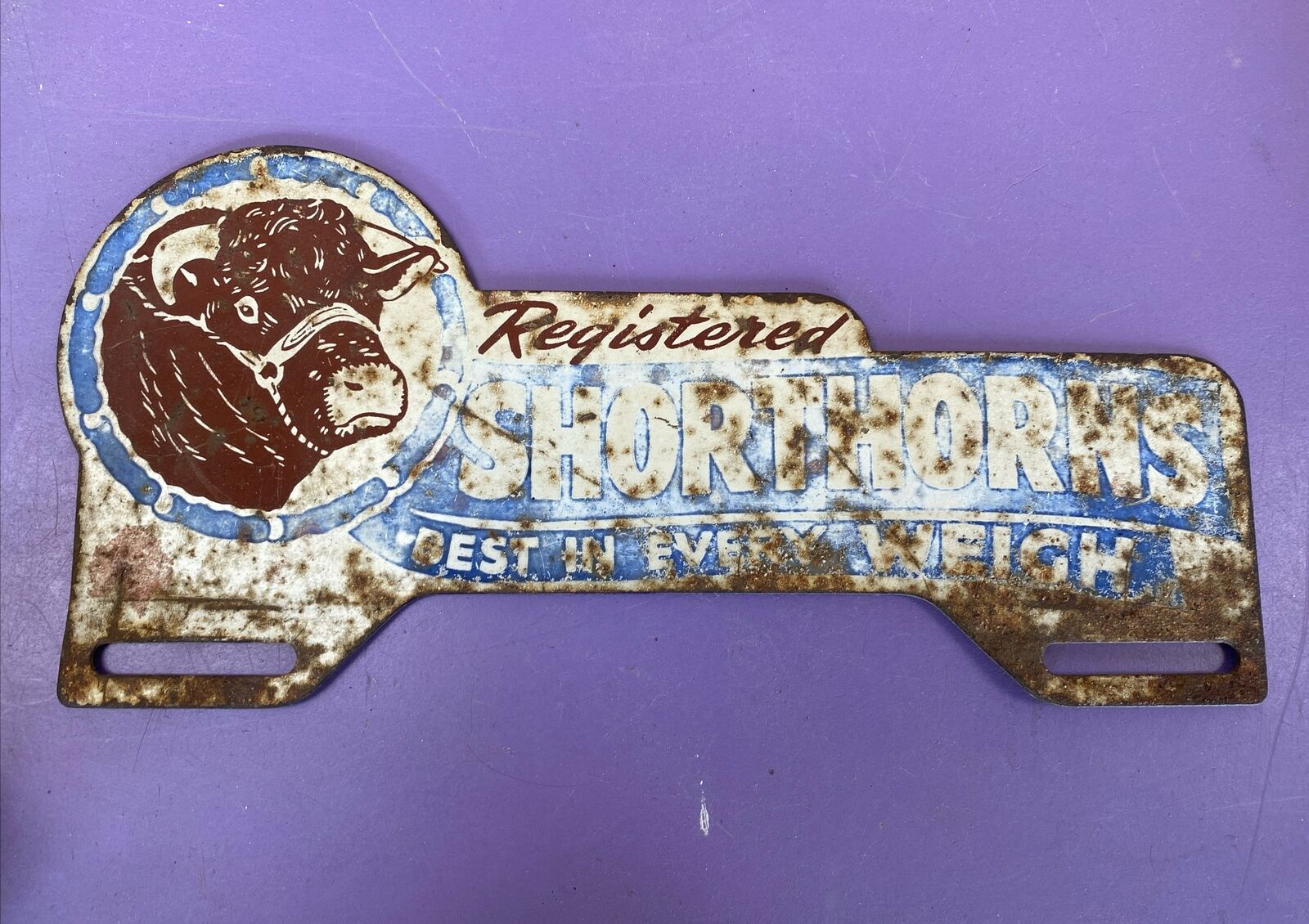 Vintage Original RARE License Plate Topper. Registered Shorthorns Best In Weigh