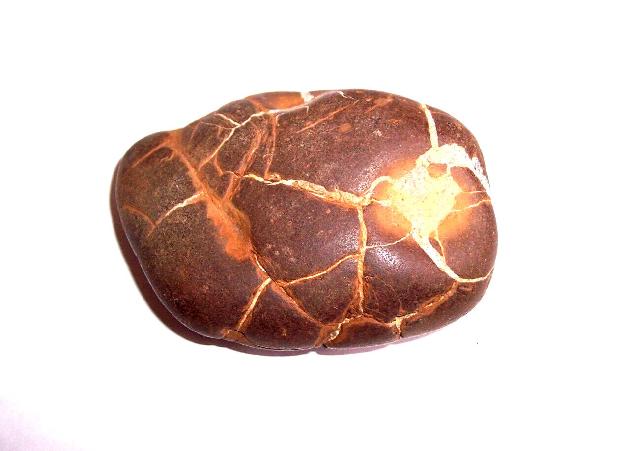 LARGE 7 Oz. Septarian Dragon's Egg Prophet's Stone Lightning Stone  RE2270