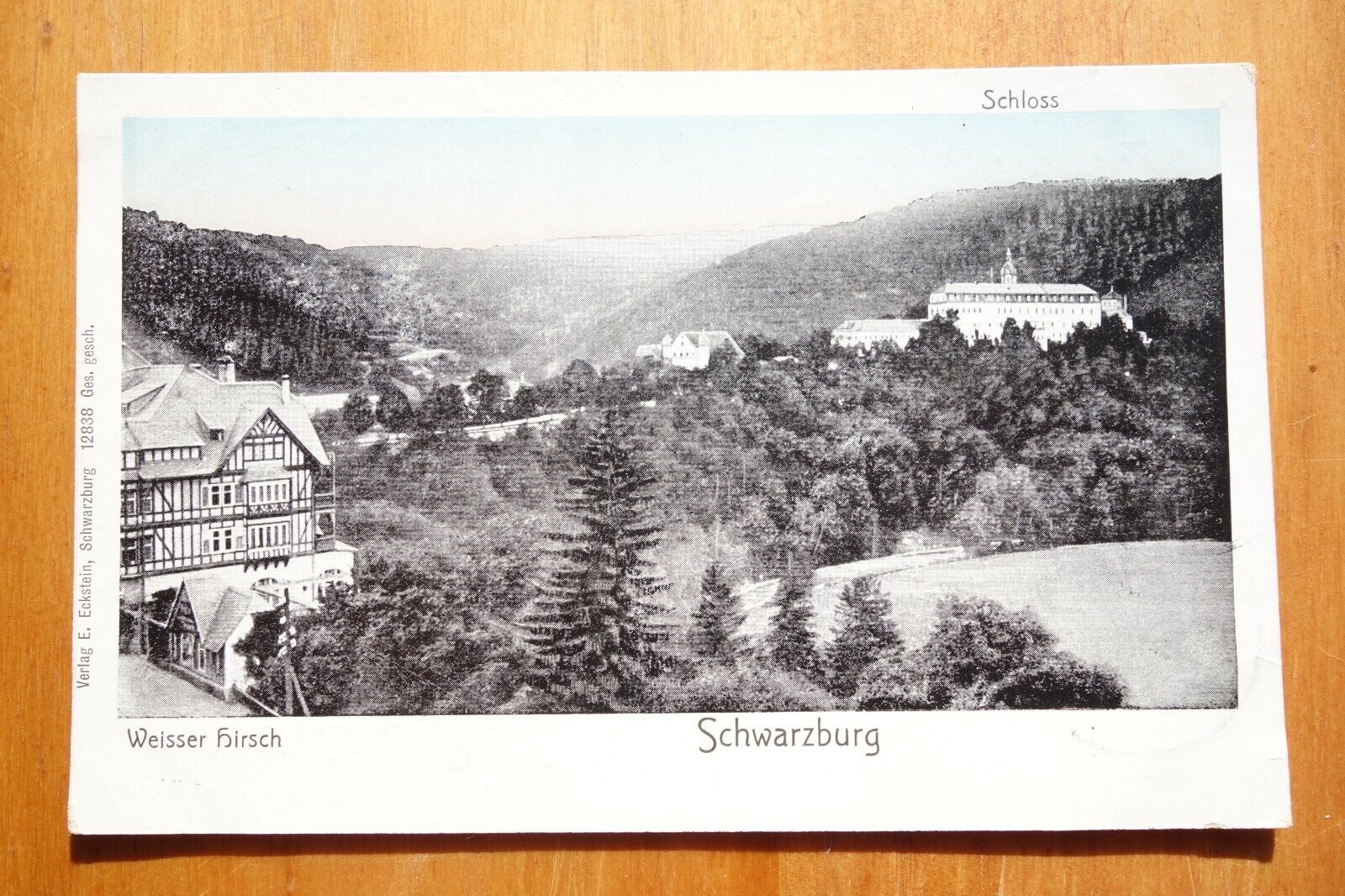 Weisser Hirsch & Schloss, Schwarzburg GERMANY postcard pmk 1913