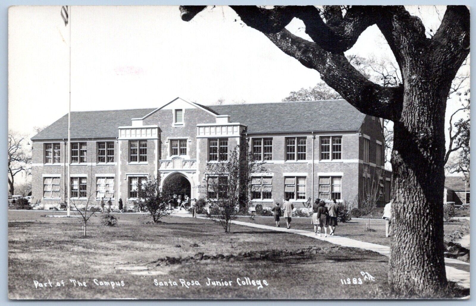 Postcard RPPC CA Part Of The Campus Santa Rosa Junior College Patterson R57