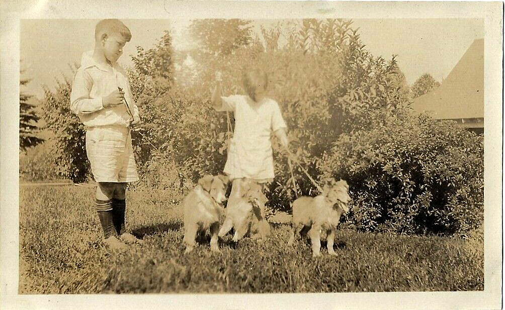 1930s Dog Photo~Little Children Herding Pack of Small Collies~Vintage Snapshot