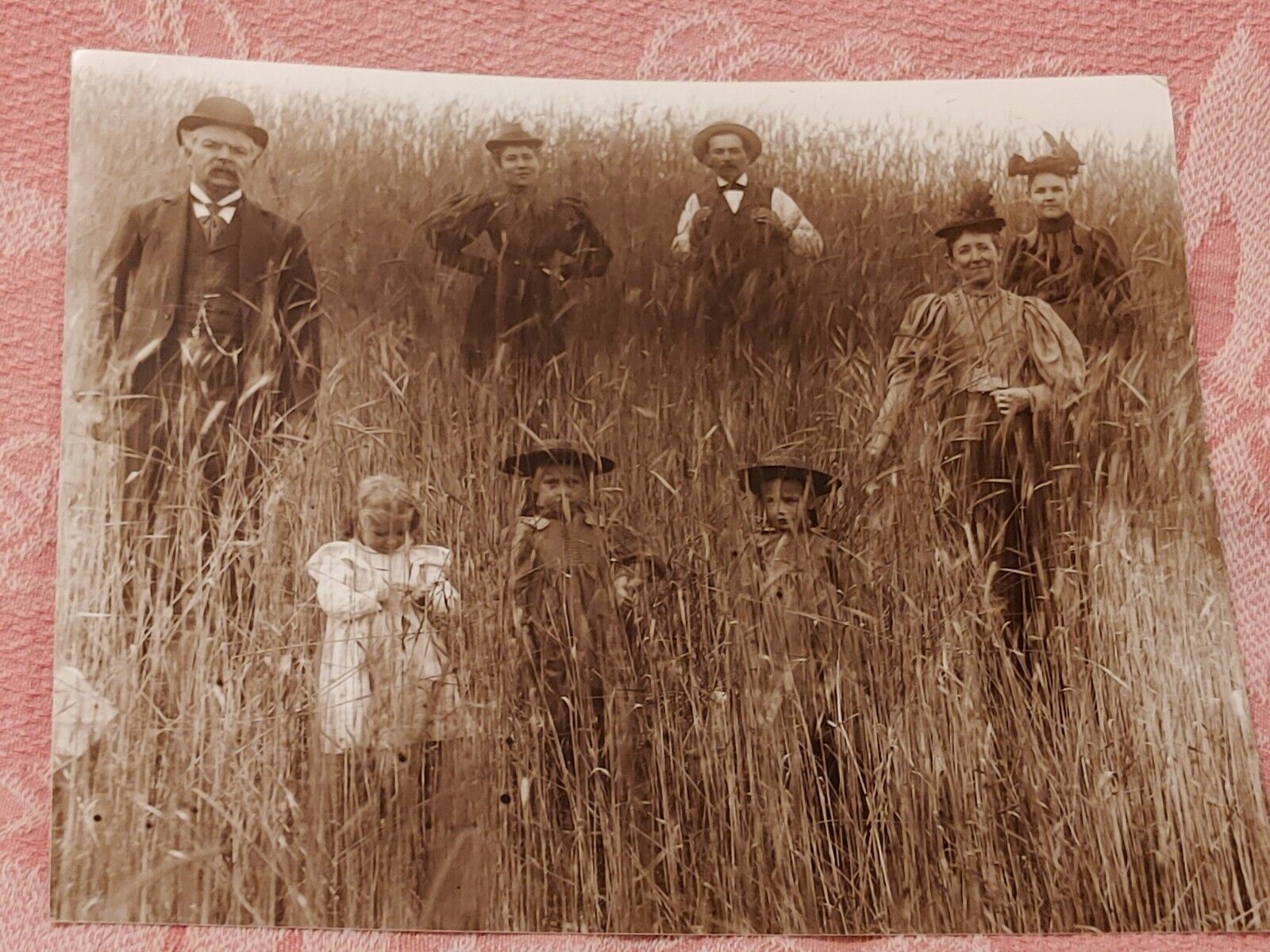 1880s Victorian Era Family In Wheat Field Photo Reprint 