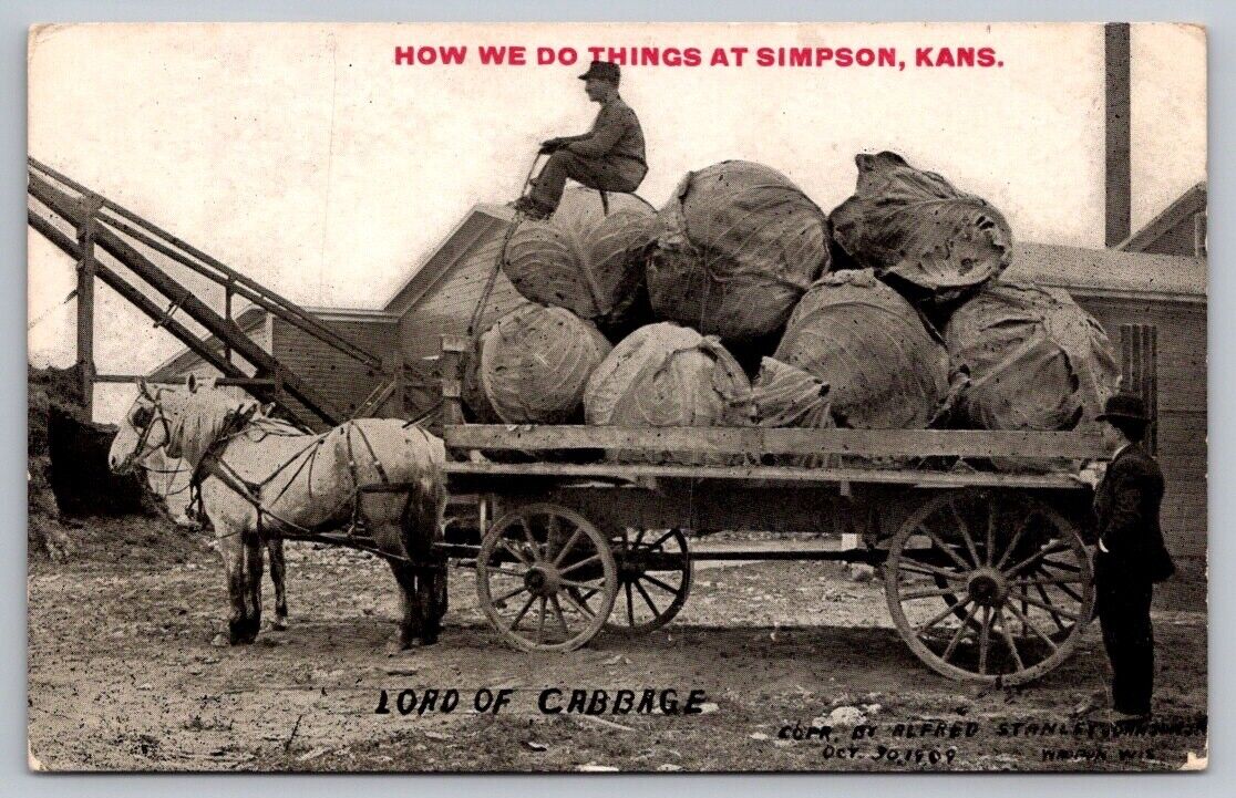 Exaggeration Printed Postcard Johnson Man With Horse Drawn Wagon Load of Cabbage