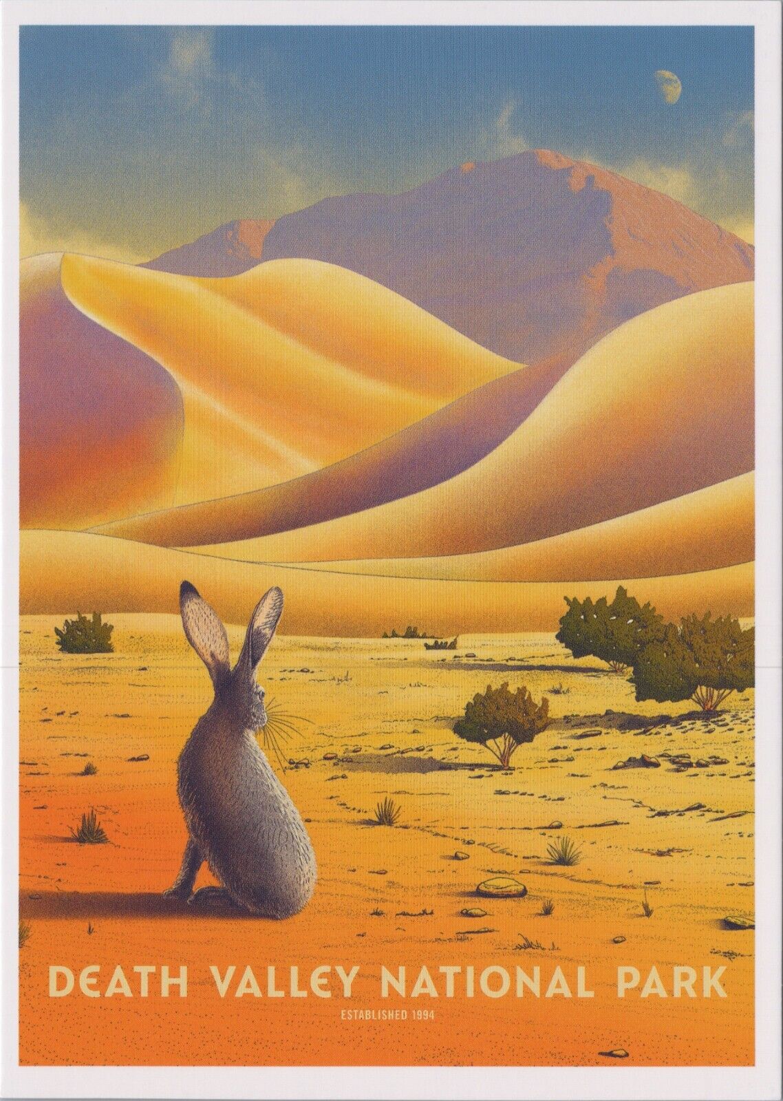 Death Valley National Park California CA Rabbits Hares c2021 NEW Postcard 6253c2