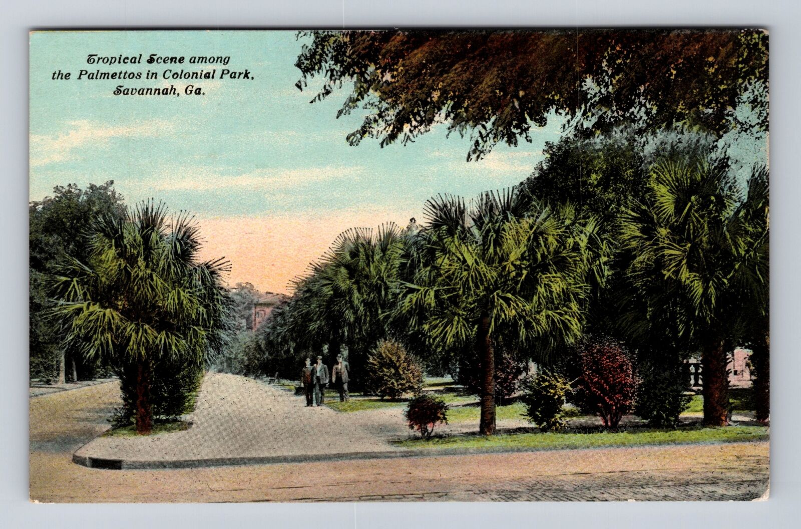 Savannah GA-Georgia, Tropical Scene In Colonial Park, Gents, Vintage Postcard