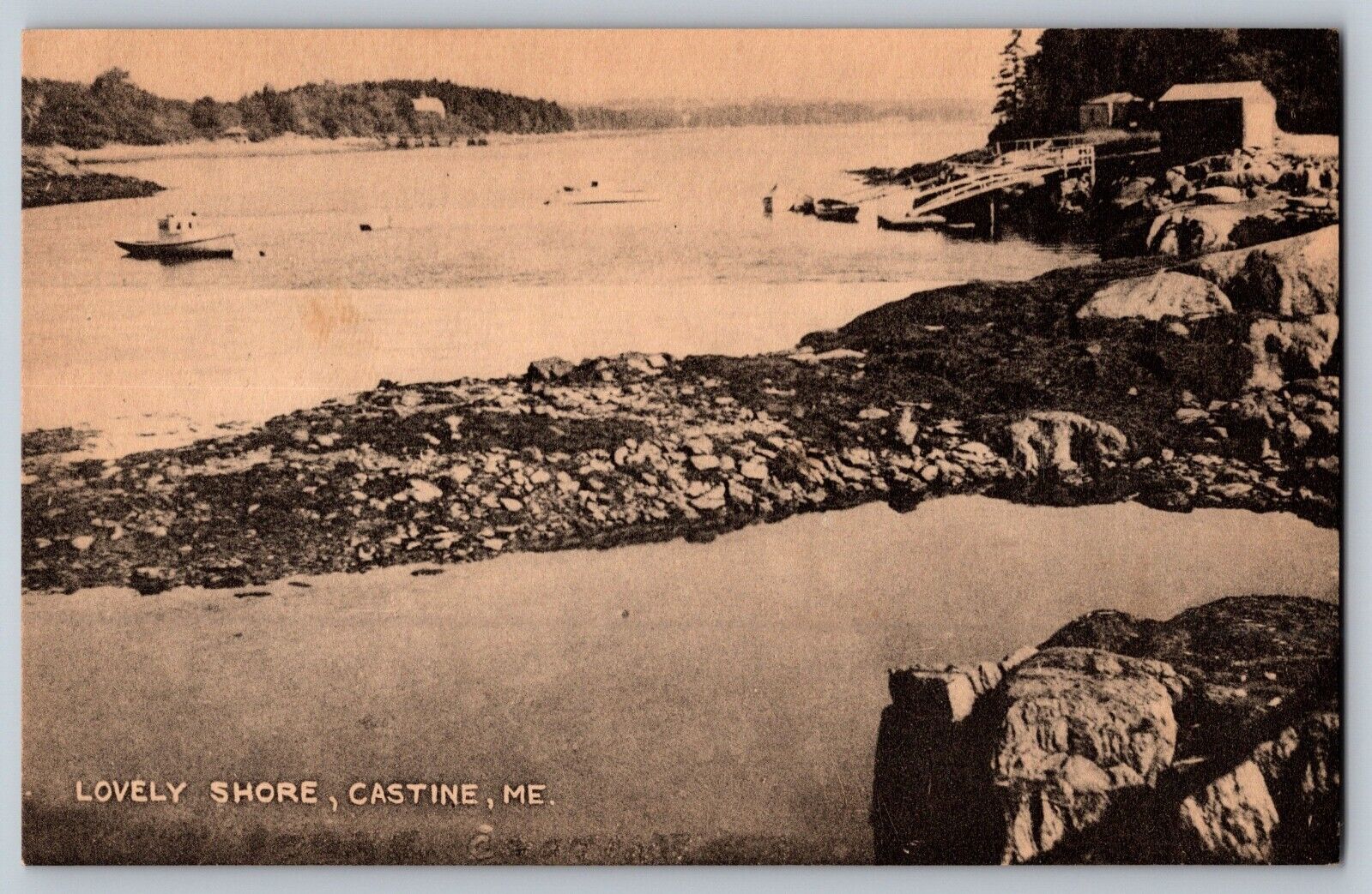 Castine Maine ME Lovely Shore Boats Vintage Postcard UNP c1940s