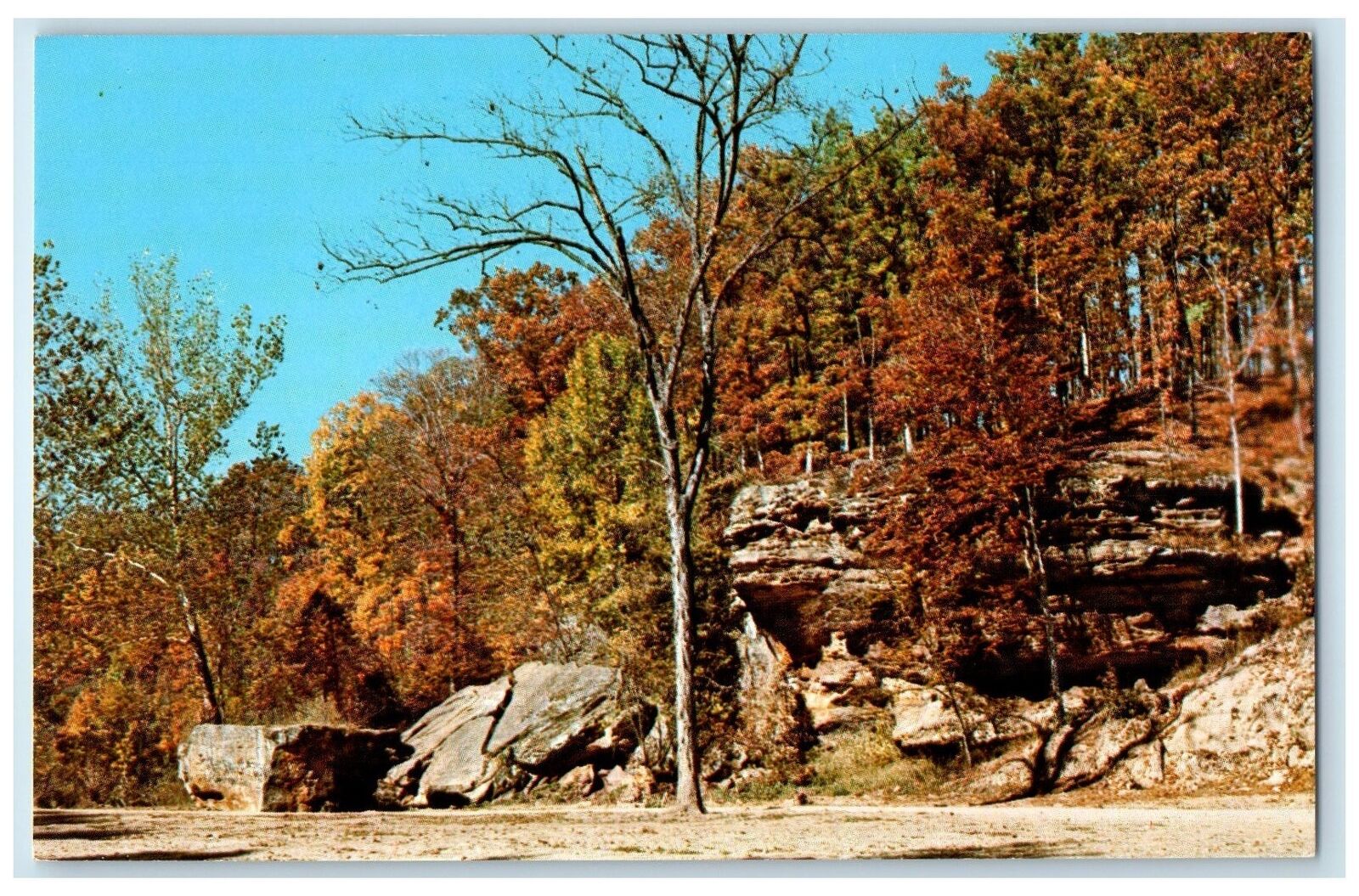 c1960's Scene At Fallen Rock Parke Trees Parke County Indiana Unposted Postcard