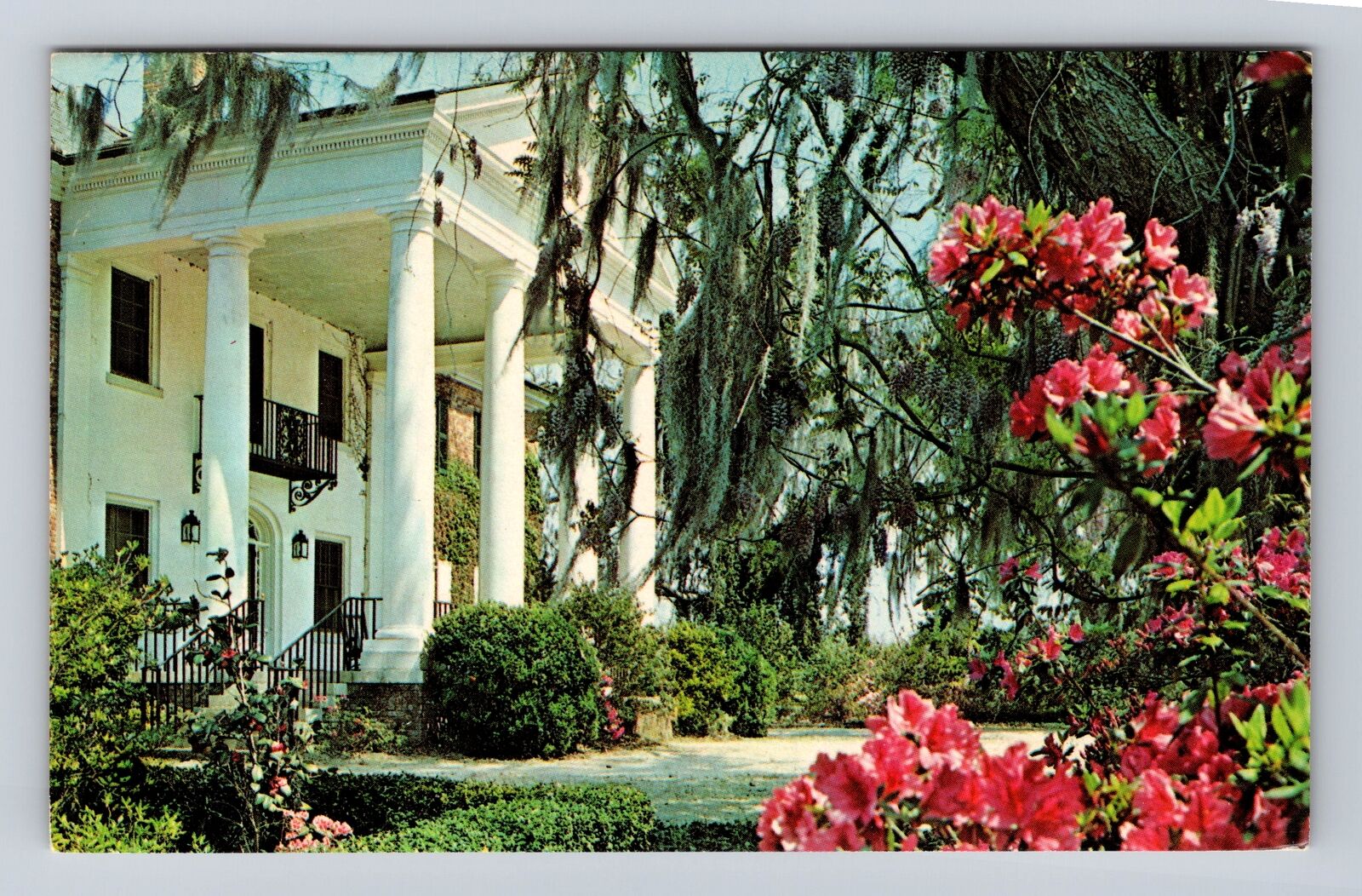 Charleston SC-South Carolina, Boone Hall Plantation, Antique Vintage Postcard