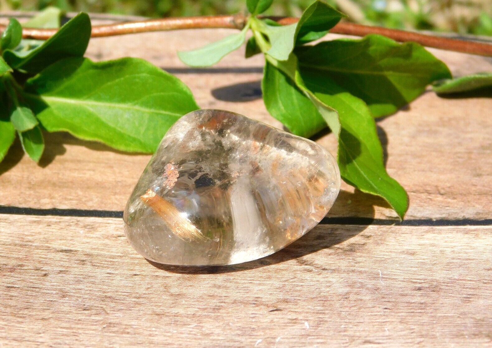 Lodolite Scenic World Garden Quartz Crystal with Gold Rutile Shamanic Dreamstone