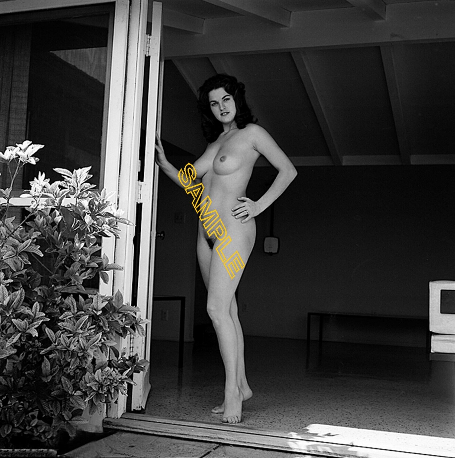 Donna Scott, mid 60\'s Classic Vintage Nude Beauty Photo