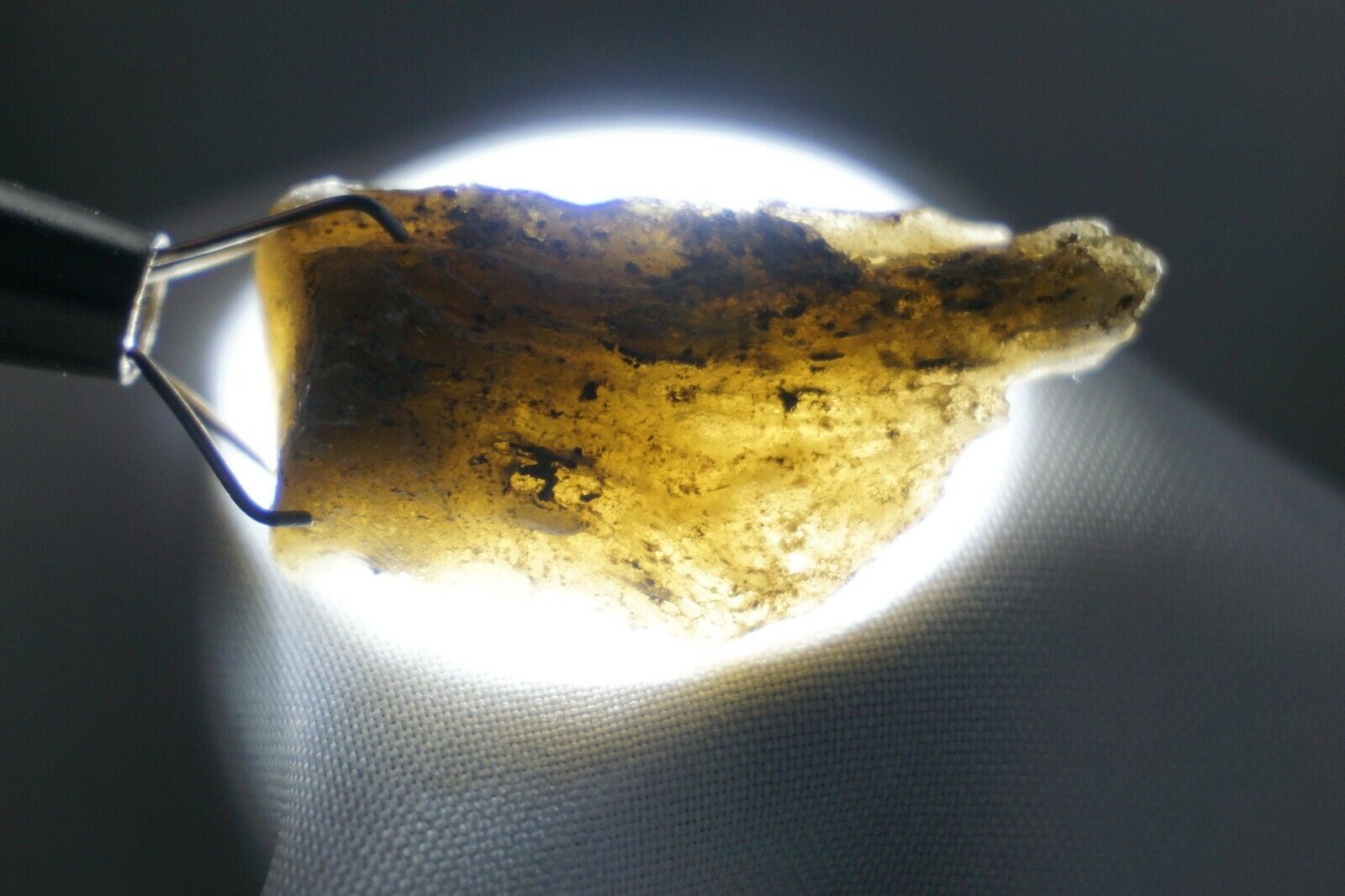 Darwin Glass -- 3g - Austalite - Darwinite - tektite - impactite #win66a.